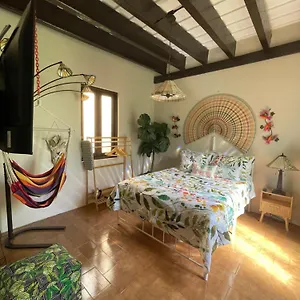 https://cozy-garden-apt-at-casa-of-essence-located-in-of-old-san-juan.greaterantilleshotels.net